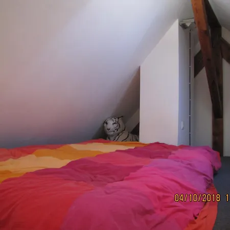 Chambre Ouest Molsheim Exterior photo